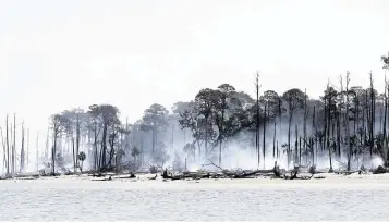  ?? PHOTOS BY RICHARD BURKHART Savannah Morning News ?? Smoke rises from the charred remains of trees at the north end of St. Catherine’s Island on Wednesday. Four separate fires sparked by lightning strikes have burned on the Island since June 11. The Georgia Forestry Commission is working to control the spread of the fire while preserving the historical significan­ce of the island.