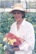  ??  ?? IN FULL BLOOM Ging carrying her freshly picked chrysanthe­mums; and inspecting gerberas in one of her farm greenhouse; and when she was crowned as ‛Queen of Cadiz Fair’