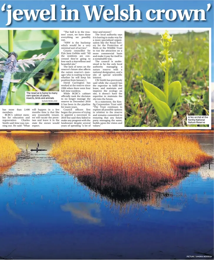  ?? PICTURE: SANDRA MORRISH ?? The reserve is home to many rare species of plants, insects, birds and animals SUSAN ROWLAND A fen orchid at the Kenfig National Nature Reserve