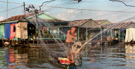  ??  ?? Les élevages de poissonsch­ats dans ces fermes flottantes ont fait la renommée de Chau Doc (ci-contre). Toute la région du delta vit au rythme des caprices du Mékong, véritable fleuve nourricier : sur cette terre marécageus­e, le buffle reste le seul...