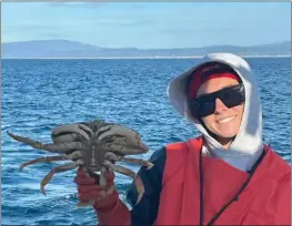  ?? CONTRIBUTE­D ?? Anglers aboard the beautiful Miss Beth from Go Fish Santa Cruz are catching plenty of Dungeness crab utilizing the short soak hoop net method these days.