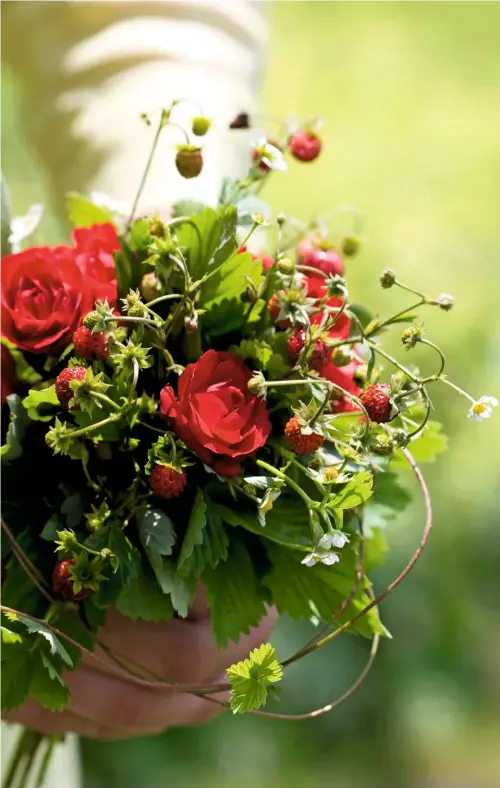  ??  ?? A mix of fruit and flowers makes a delightful rose posy of rich reds enveloped in lush foliage.