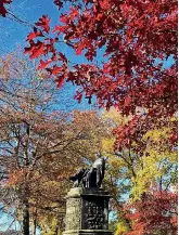  ?? PHOTO: MARK MCLEOD ?? Pin oaks and elms lend dignity to the statue of the Rev Dr Donald McNaughton Stuart in Dunedin’s Queens Gardens.