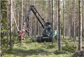  ?? Bild: JOHAN GUNSÉUS/TT ?? TUNGA MASKINER. I samband med skogsarbet­e och markberedn­ing skadas många historiska forn- och kulturlämn­ingar.