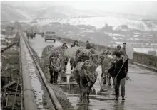  ?? Courtesy of Noonbit Publishing ?? People herd cows to a market.