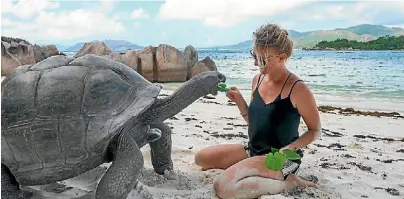  ??  ?? The tortoises found in the Seychelles are some of the largest in the world.