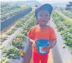  ?? ?? UKHO Simandla, 3, goes strawberry picking in the run-up to World Children’s Day.
