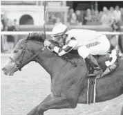  ?? NATALIE FAWKES/COURTESY ?? Bluegrass Singer, seen here at Gulfstream Park, ran last in an allowance race on Thursday.