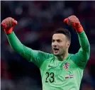  ??  ?? Croatia goalkeeper Danijel Subasic