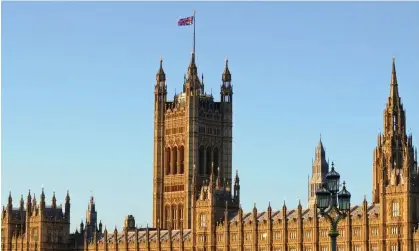  ?? Photograph: Daniel Sorabji/AFP/Getty Images ?? The Palace of Westminste­r. Harry Rich, who is registrar of consultant lobbyists, also wants a review of exemptions to the disclosure rules.