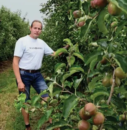  ?? FOTO SERGE MINTEN ?? Jan Lowet bij zijn eerste oogst bio-appels.