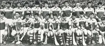 ??  ?? The All-Ireland winning Wexford Minor hurlers of 1968.