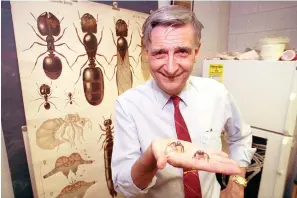  ?? The Associated Press ?? ■ Edward O. Wilson, co-author of “The Ants,” which won the Pulitzer Prize for general non-fiction, poses for a portrait on June 10, 1991. Wilson, the pioneering biologist who argued for a new vision of human nature in “Sociobiolo­gy” and warned against the decline of ecosystems, died on Sunday. He was 92.