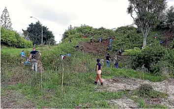  ?? ?? Friends of Mangaonua (Silverdale) restore the gully with native plants.