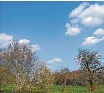  ?? FOTO: THOMAS REINHARDT ?? Auf dem Nahequelle-Pfad geht es wie auf der Berg- und Talbahn zu. Immer wieder windet sich der Weg durch den Wald im St. Wendeler Land nach oben auf freie Feldfläche­n wie hier.