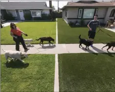  ??  ?? In this May 6, 2015, file photo, local resident Martha Mattison (left) helps out her son, Jacob with his dog walking business, as they walk past recently installed synthetic grass, seen at right in Garden Grove. AP PHOTO/DAMIAN DOVARGANES