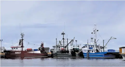 ?? - Acadie Nouvelle: David Caron ?? Des navires de pêche aux crevettes sont amarrés au quai de Caraquet.