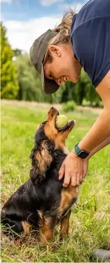  ?? ?? Using a ball to play a retrieving game is one way to teach a dog how good it is to interact with you