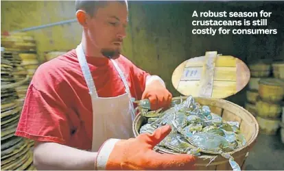  ?? KARL MERTON FERRON/BALTIMORE SUN ?? Jason Woolery examines local crabs at Bay Island Crab House. Male crabs at Baltimore-area crab houses and carryouts are selling for $30 to $95 per dozen — prices similar to last year’s, despite reports of a greater Maryland crab harvest this year.