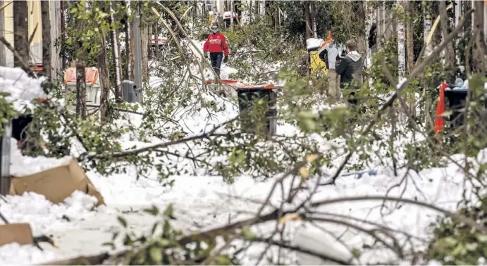  ?? Fotos: dpa ?? Schneise der Zerstörung: Der Winterstur­m Filomena richtete an Tausenden von Bäumen schwere Schäden an.