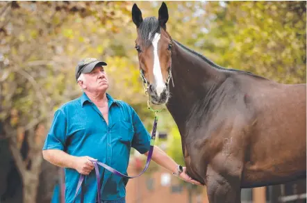  ?? Picture: GREGG PORTEOUS ?? Gold Coast trainer Bruce Hill, pictured with Teronado, could deliver home success this weekend.