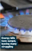  ?? ?? Energy bills have surged, leaving many struggling