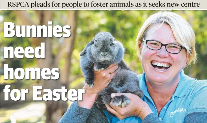  ?? Picture: CHRIS KIDD ?? HOP TO IT: RSPCA Tasmania’s Danielle Clark with Paisley, a microchipp­ed, desexed and vaccinated female rabbit ready for adoption at Mornington.