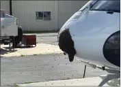  ?? CALIFORNIA HIGHWAY PATROL ?? Bees swarmed on the nose of a California Highway Patrol helicopter, a situation “not conducive to operations,” pilot Shayne Dickson said, on March 7in Paso Robles.