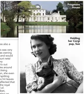  ??  ?? Frogmore House
Holding her Corgi pup, Sue