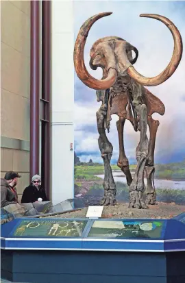  ?? ANGELA PETERSON / MILWAUKEE JOURNAL SENTINEL ?? Visitors look over the Hebior mammoth exhibit at the Milwaukee Public Museum on Tuesday. The museum has been at its Wells St. home for 53 years.