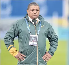  ??  ?? South Africa coach Allister Coetzee during the match against Italy.