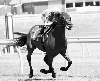  ?? JIM MCCUE/MARYLAND JOCKEY CLUB ?? Special Envoy will be seeking a repeat victory in the $75,000 Edward Evans Stakes at Laurel.