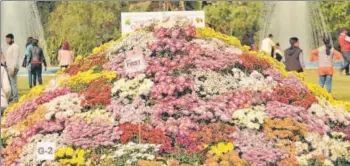  ?? HT PHOTO ?? ▪ People enjoying a view of the blooming beauties at the two-day Chrysanthe­mum and Coleus Show – 2018 at the botanical garden in Lucknow on Saturday. The show will remain open for the general public on Sunday from 10 am to 6 pm. The prize distributi­on ceremony will be held at 4 pm.