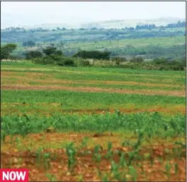  ??  ?? Sparse: The farm a year after the couple were evicted by police NOW