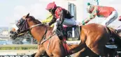  ??  ?? Coral Fever is top weight at G-Bets Gauteng Summer Cup at Turffontei­n on Saturday December 1.