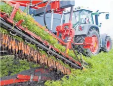  ?? FOTO: DPA ?? Ein Landwirt erntet Biomöhren. Die Bundesregi­erung will Ökobauern wie ihn vor Nachteilen durch EU-Gesetze schützen.