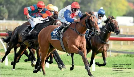  ?? PHOTO: GETTY IMAGES ?? Savvy Coup has drawn barrier 13 for Saturday’s Group I New Zealand Oaks.