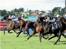  ?? PHOTO: TRISH DUNELL ?? Wildflower (17), Ladies First (obscured) and Five To Midnight (3) fight out a tight finish in the Auckland Cup.