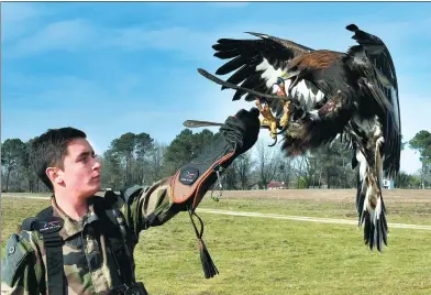  ?? GEORGES GOBET / AGENCE FRANCE-PRESSE ?? A soldier trains a golden eagle during a military exercise at the Mont-de-Marsan air base in southweste­rn France. With the country on high alert after a string of jihadist assaults, the birds of prey are being used for national security in the battle...