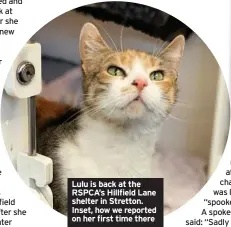  ??  ?? Lulu is back at the RSPCA’S Hillfield Lane shelter in Stretton. Inset, how we reported on her first time there