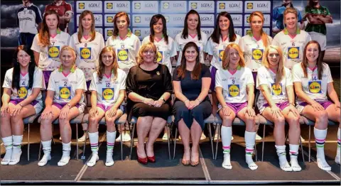  ??  ?? The Lidl ladies’ football Division 3 team of the league at last week’s awards ceremony. Wexford was represente­d on the selected side by left half-back Maria Byrne and left corner-forward Catríona Murray.