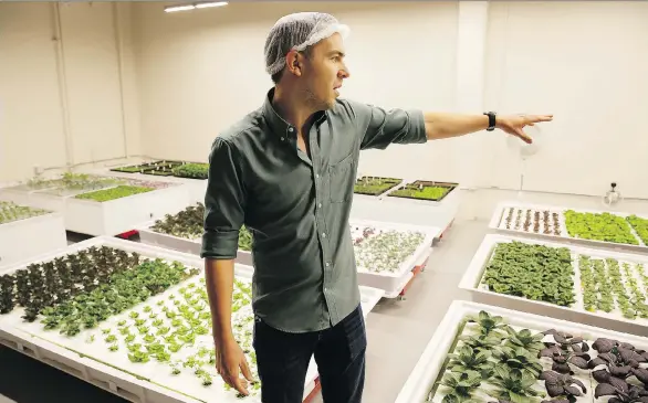  ?? PHOTOS: ERIC RISBERG/THE ASSOCIATED PRESS ?? Iron Ox CEO Brandon Alexander hopes his robotic indoor farm in San Carlos, Calif., will revolution­ize how we grow and distribute produce.