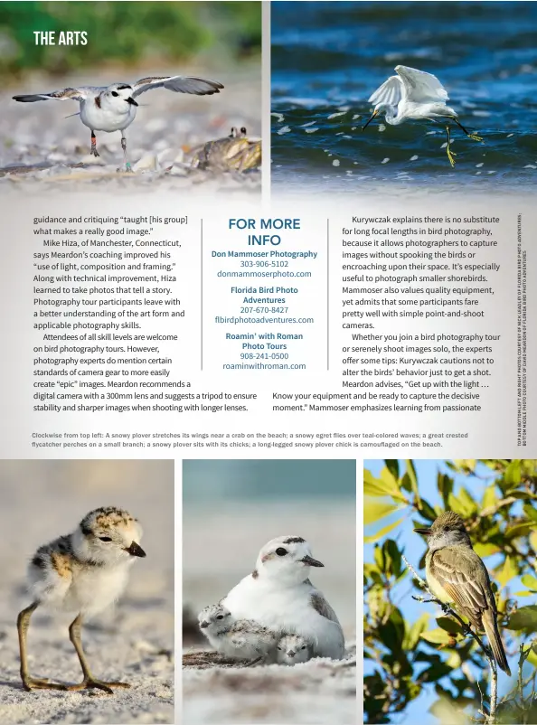  ??  ?? Clockwise from top left: A snowy plover stretches its wings near a crab on the beach; a snowy egret flies over teal-colored wave s; a great crested flycatcher perches on a small branch; a snowy plover sits with its chicks; a long-legged snowy plover chick is camouflage­d on the beach.