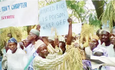  ??  ?? Rice farmers and millers protesting against importatio­n of rice at government house in Birnin Kebbi