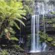  ?? FOTO: EIBNER/IMAGO IMAGES ?? So schön ist Australien­s Regenwald ohne Camp.
