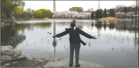  ?? (AP/Ng Han Guan) ?? A man removes his mask to stretch and take a deep breath across from cherry blossoms at the Yuyuantan Park in Beijing.