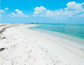  ??  ?? Una caminata por la playa de la isla Caladesi tiene un efecto tranquiliz­ador.