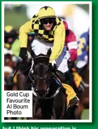  ??  ?? Gold Cup Favourite Al Boum Photo