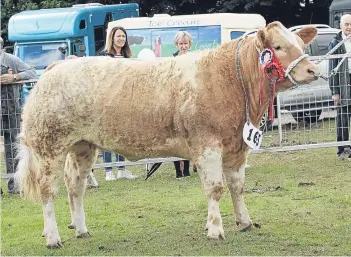  ??  ?? Gold Rush from Blair Duffton and Rebecca Stuart of Huntly and Insch.