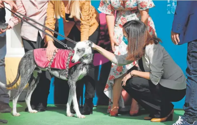  ?? // EFE ?? La ministra y líder de Podemos, Ione Belarra, acariciand­o a un perro